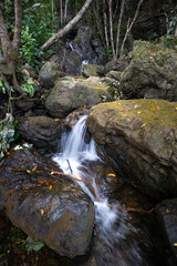 Stunning Diguisit Falls in Aurora cascading down moss-covered rocks in a lush, green forest. The surrounding vegetation and rugged terrain enhance the beauty of this peaceful and refreshing scene.