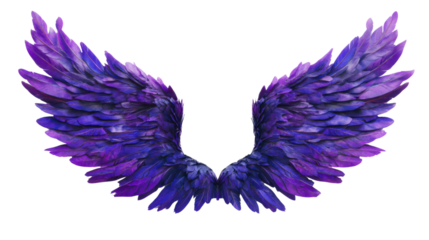 Angel wings transparent background