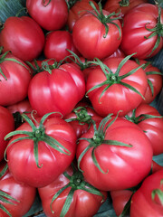 Tomatoes in culinary uses. Good Quality Imported Tomatoes. Freshly imported, ideal for cooking or eaten raw, tomatoes on vine, or individually, they served their purpose well.