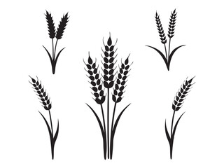 Ear of Wheat, Barley or Rye. Vector icon isolated on white background
