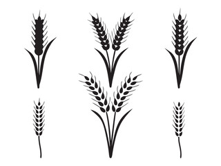 Ear of Wheat, Barley or Rye. Vector icon isolated on white background