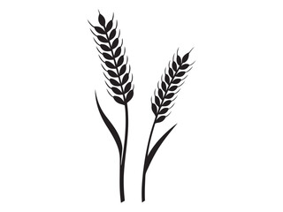 Ear of Wheat, Barley or Rye. Vector icon isolated on white background