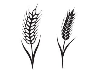 Ear of Wheat, Barley or Rye. Vector icon isolated on white background