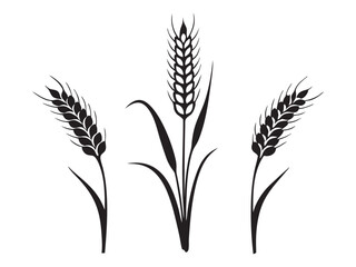 Ear of Wheat, Barley or Rye. Vector icon isolated on white background