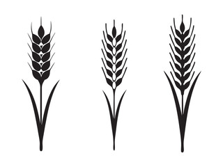 Ear of Wheat, Barley or Rye. Vector icon isolated on white background