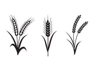 Ear of Wheat, Barley or Rye. Vector icon isolated on white background