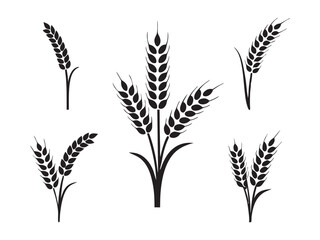 Ear of Wheat, Barley or Rye. Vector icon isolated on white background