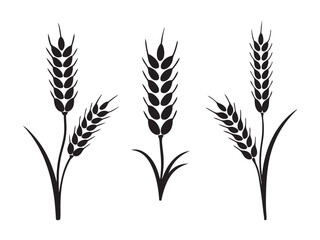 Ear of Wheat, Barley or Rye. Vector icon isolated on white background