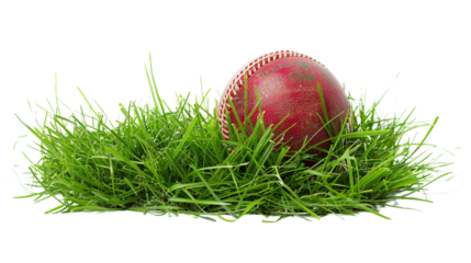 Cricket Ball on Grass on transparent background PNG.