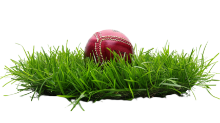 Cricket Ball on Patch on transparent background PNG.