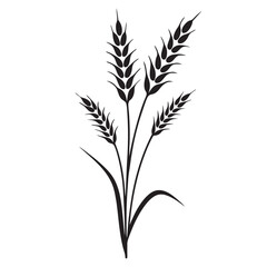 Ear of Wheat, Barley or Rye. Vector icon isolated on white background