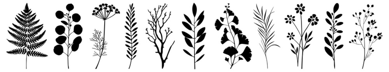 Obraz premium PNG Botanical silhouettes for design, element set on transparent background