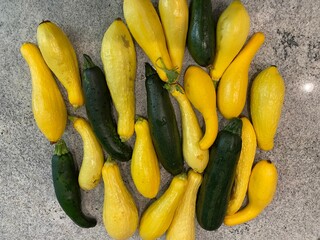 farm fresh organic zucchini (courgette) and yellow squash on granite countertop