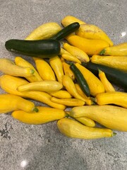 farm fresh organic yellow squash and zucchini (courgette) on granite countertop