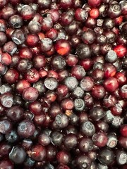 Mountain fresh organic huckleberries