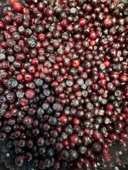 mountain fresh organic huckleberries
