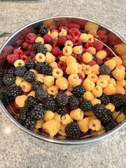Mixed organic raspberry and blackberry variety