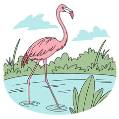 illustration of a flamingo