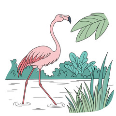 illustration of a flamingo