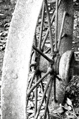 Distressed Steel Tractor Wheel Black and White