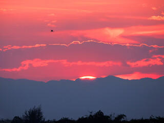 Landscape with red sun setting behind dark clouds and silhouette of bird on hills and trees