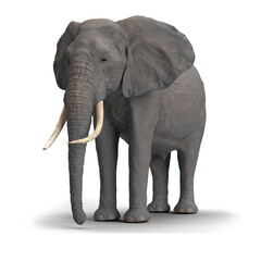 Fototapeta premium African elephant 3D illustration isolated on white background