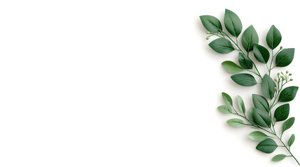 Floral corners with green twigs of ruscus and a frame isolated on white or transparent background
