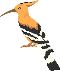 illustration hoopoe bird © Je