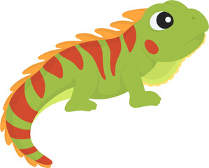 illustration iguana