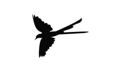 Flying Scissor Tailed Flycatcher  Bird Silhouette Design  And Vector Illustration. 