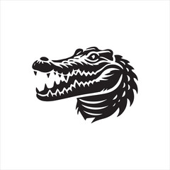 crocodile head isolated on white