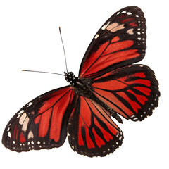 Red butterfly with black and white wing patterns, detailed and vivid, isolated on a transparent...