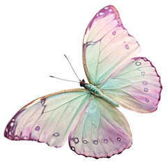 Vibrant butterfly with pastel-colored wings, detailed texture, isolated on a transparent...