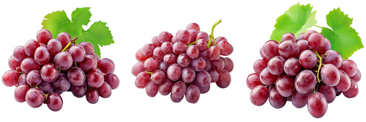 Fototapeta premium A Set of Red Grapes in a Perfectly Ripe Cluster with Detailed Features Isolated on Transparent Background