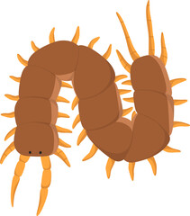 Obraz premium illustration centipede