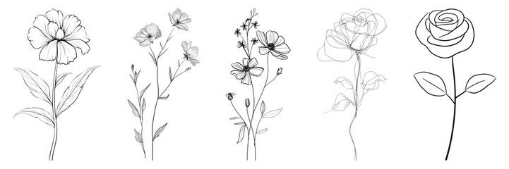 Fototapeta premium PNG Drawing illustration flowers set on transparent background