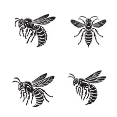 "Intricate Silhouette of an Asian Hornet Showcasing Detailed Patterns in Black and White"