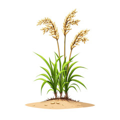 Fototapeta premium Paddy Plants with Greenish Yellow Tones