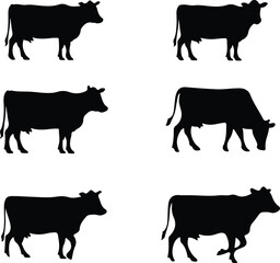 cow silhouettes of isolated on white background. Vector illustration.