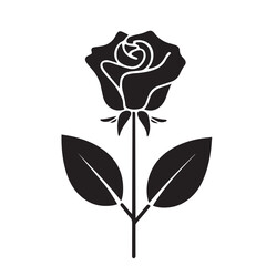 rose vector design