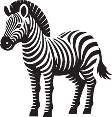 Zebra vector illustration black and white