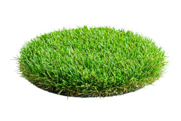 Perfectly Round Green Grass Patch on White Background