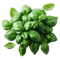 Fresh basil leaves arranged in a vibrant green cluster.
