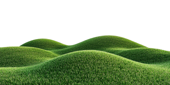 Rolling Green Hills in Vast Grassy Landscape