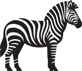 Zebra Vector Illustration black and white