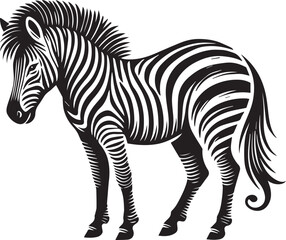 Zebra Vector Illustration black and white