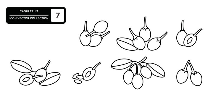 Caqui fruit icons collection, editable and resizable vector icon templates.