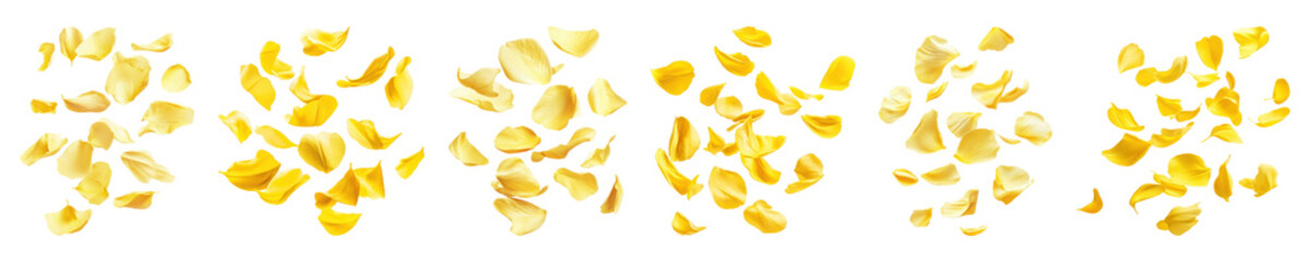 Naklejka premium PNG Petals floating, isolated element set, transparent background