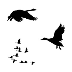 動物シルエット（白鳥）