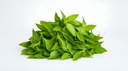 Fresh Organic Basil Leaves in a Pile on a White Background, Highlighting Vibrant Green Color and Fragrant Aromatic Herb for Cooking, Garnishing, and Enhancing Culinary Dishes